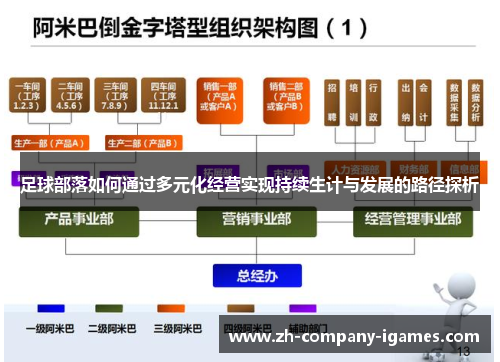 足球部落如何通过多元化经营实现持续生计与发展的路径探析