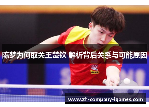 陈梦为何取关王楚钦 解析背后关系与可能原因